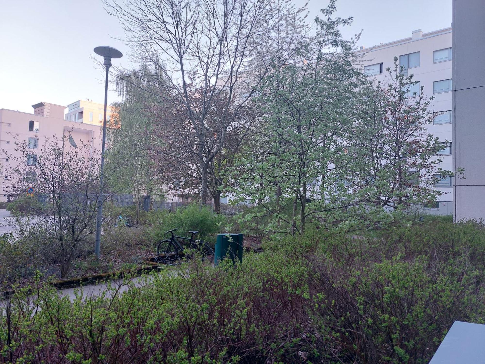 Saunallinen Kolmio Jaetkaesaaressa Helsinki Exterior foto